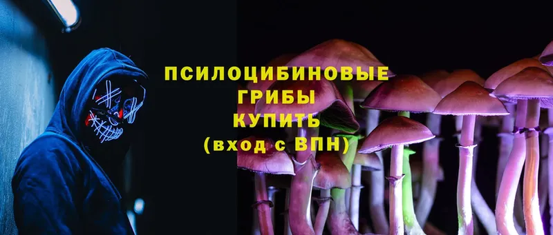 Псилоцибиновые грибы MAGIC MUSHROOMS  shop состав  Железногорск  ОМГ ОМГ как войти 